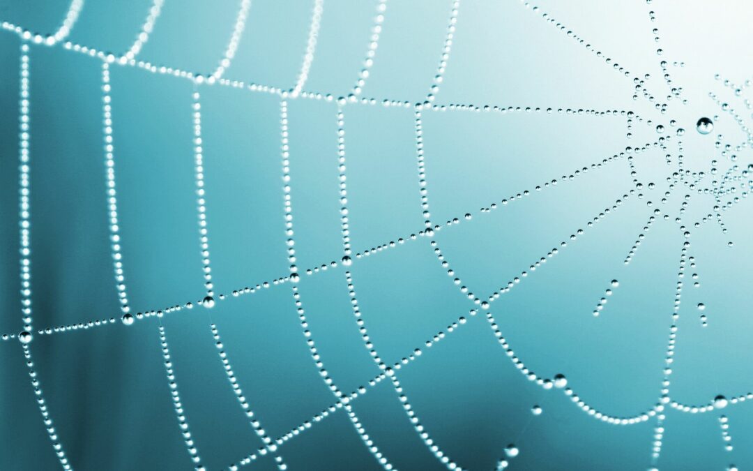 Fobias: qué son, por qué aparecen y cómo superarlas desde la psicoterapia