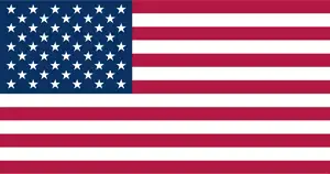 Psicólogos online en Estados Unidos